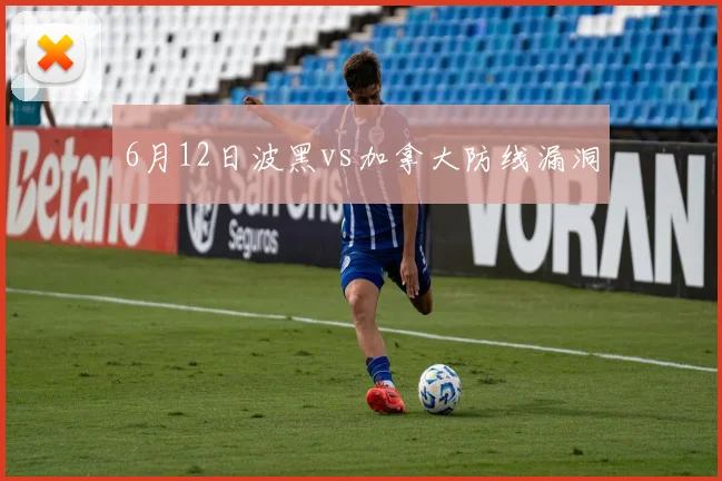 6月12日波黑vs加拿大防线漏洞