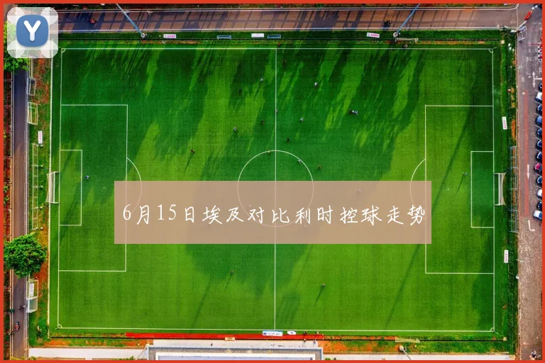 6月15日埃及对比利时控球走势