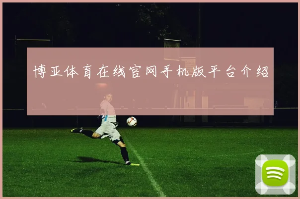 博亚体育在线官网手机版平台介绍