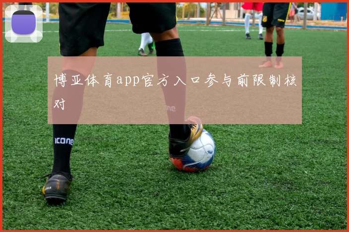 博亚体育app官方入口参与前限制核对